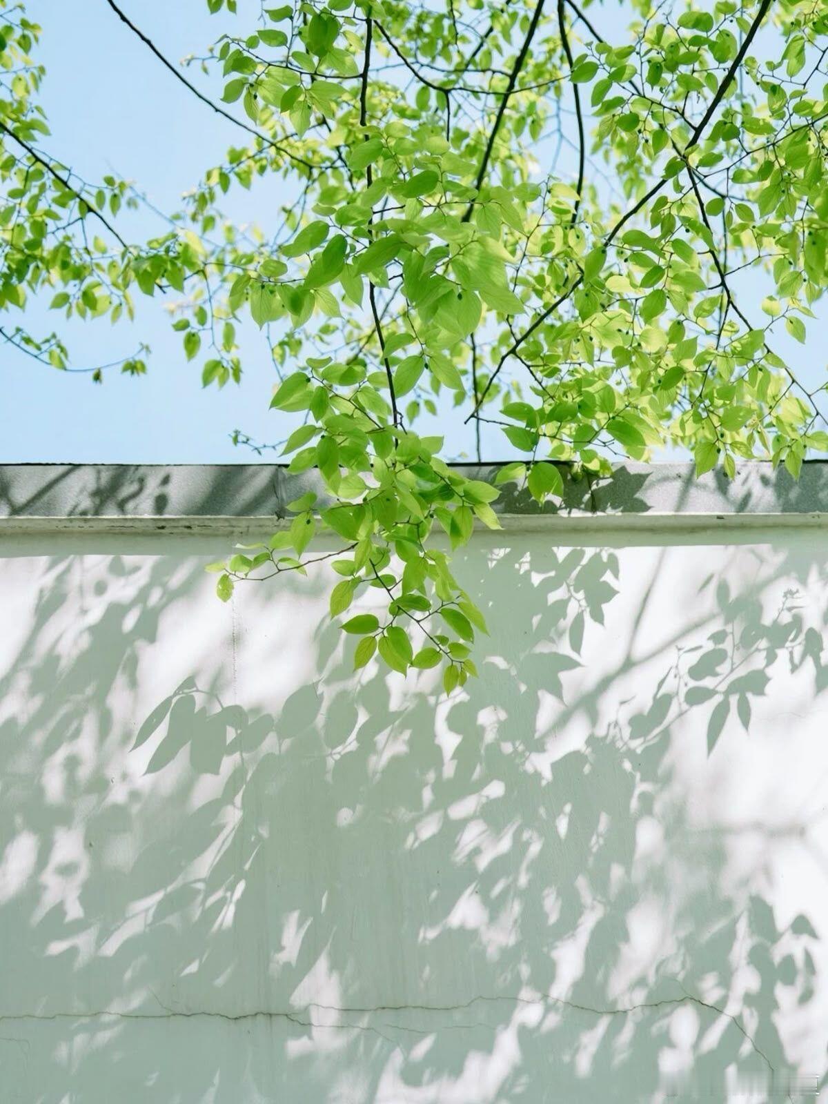 人间的小美好与安稳，是岁月最好的奖赏～