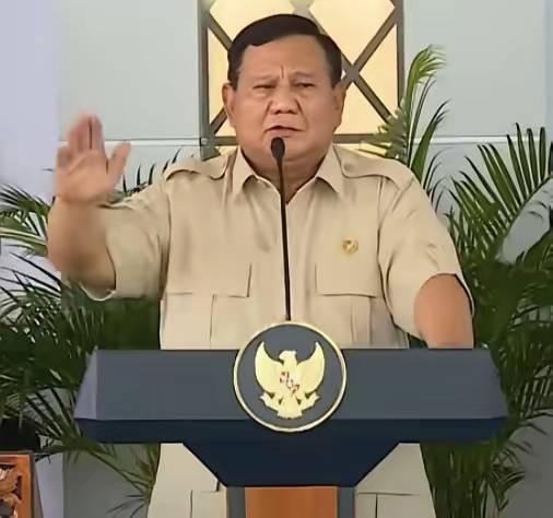印尼总统普拉博沃宣布印尼向印度，菲律宾，澳大利亚，巴西等国家开始出口化肥。早
