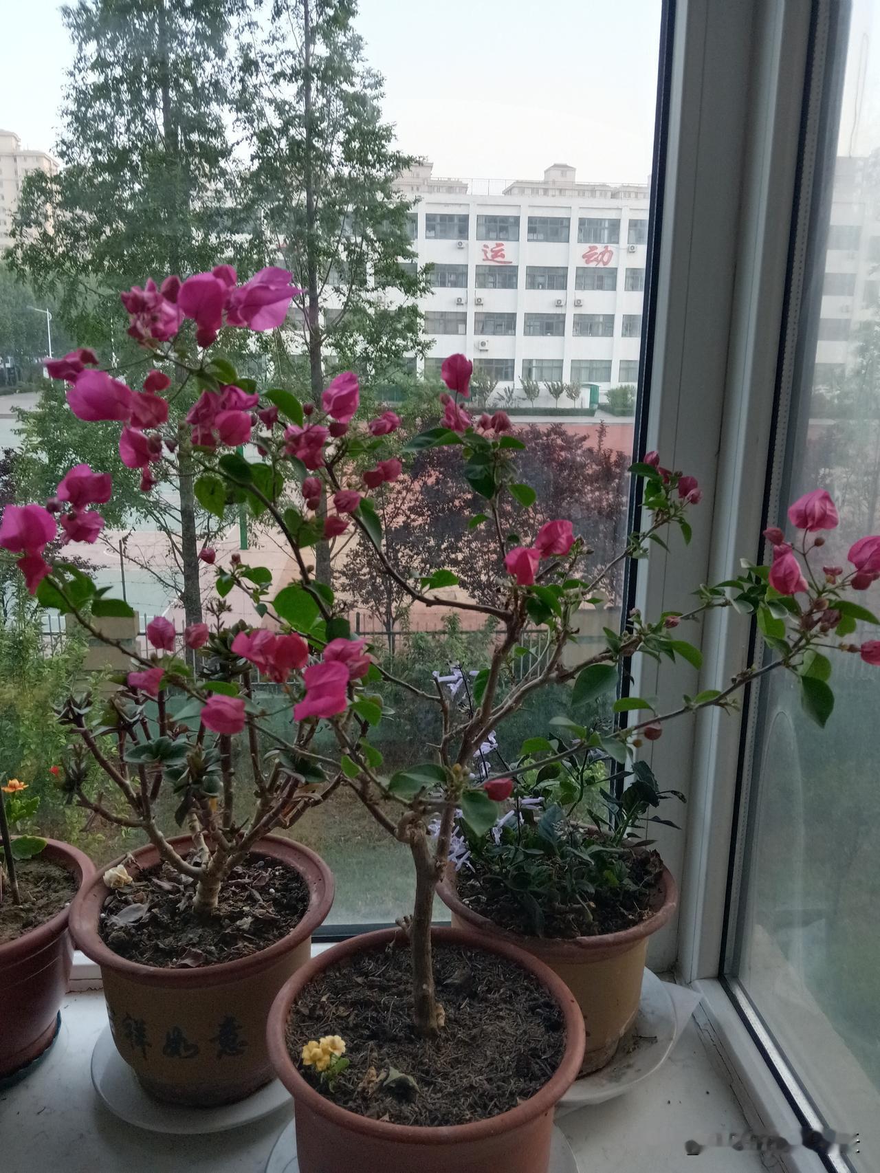 猜不到！十二生肖谁心眼最多、套路最深1、马：情商在线，处事圆滑周全2、虎