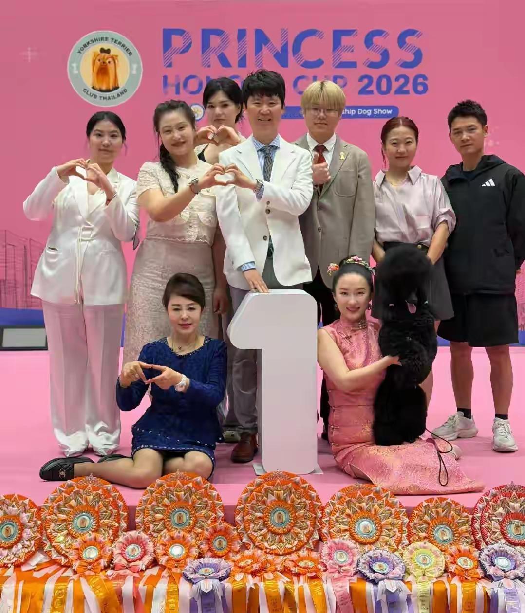 搞不懂，霍思燕明明是第一，干嘛合影非得坐地上？每年都去参加狗比赛，说实在的狗狗比