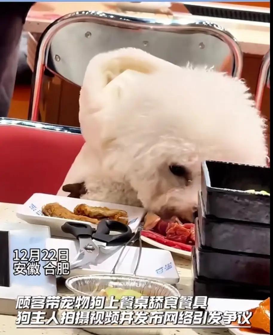 遛狗不拴绳我忍了，大不了绕着走。公共环境内随地大小便我忍了，大不了我睁大眼睛看