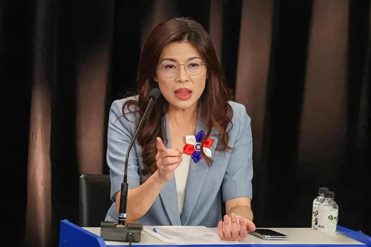 郑丽文这几天见了美代表之后，又见了新、日、英、德的代表，她想干嘛呢？之前国民党的