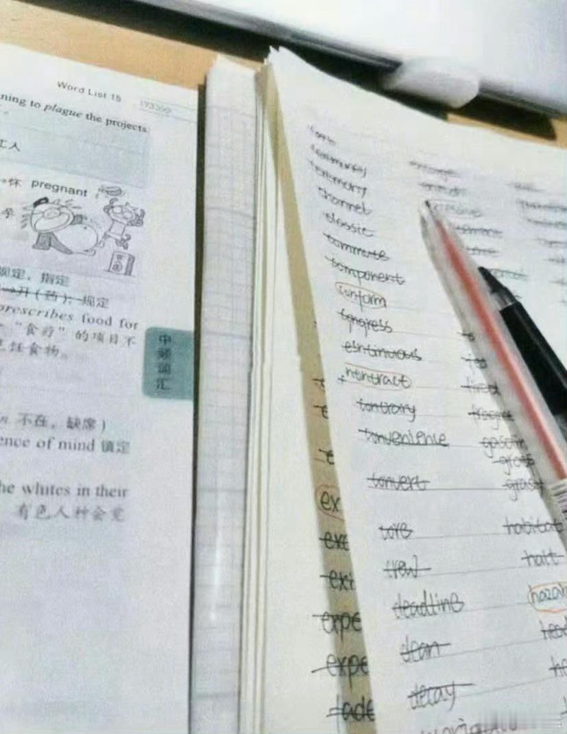 我终于明白为什么英语不退出主科地位了