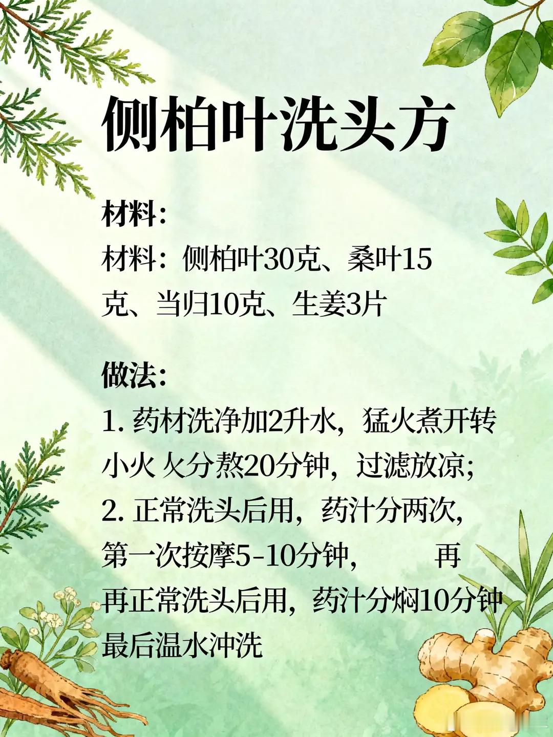 侧柏叶外洗方+四类掉发辨证（一气周流视角改版，承接整套圆运动体系）总纲：发为
