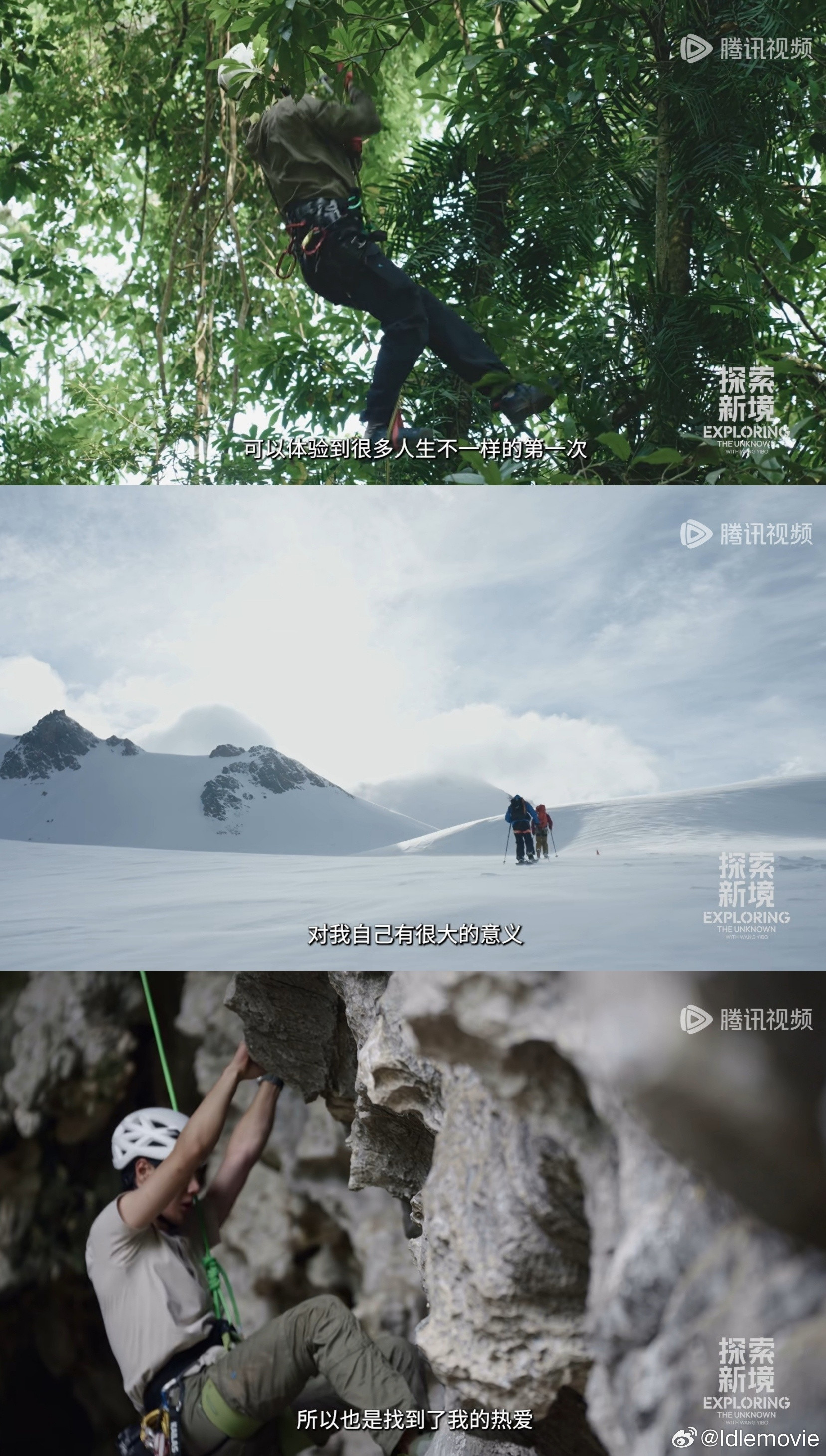《向岩而生》，生活是这样子，不如诗，转身就会撞到现实里的刺。但新境即心境，很多时