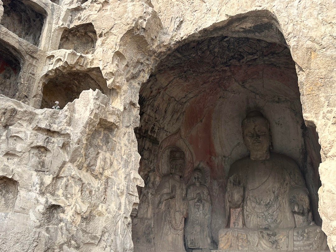 龙门石窟，石缝里的倔强春光！