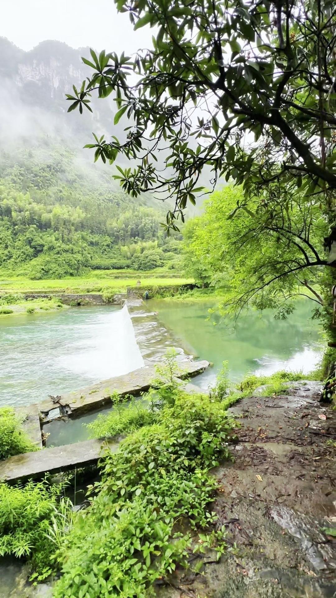 🌿漫步在山野林间，看云卷云舒，听风声掠过耳畔。那些没完成的计划、留有些许缺口的
