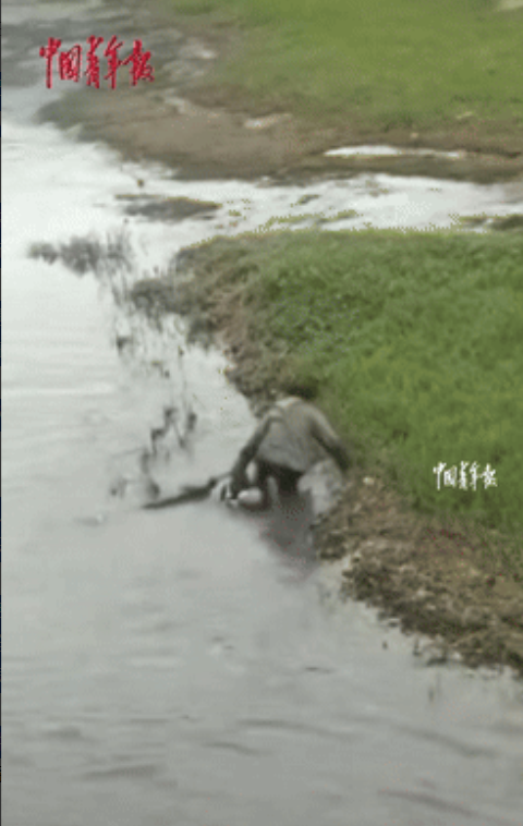 “积了大德！”云南华坪，一男子落水，眼看没人来救，一名路过的拾荒大叔立刻下水，尽