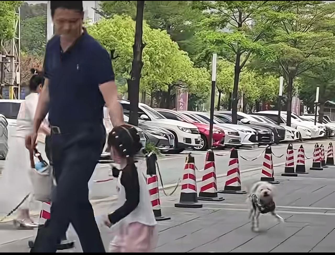 狗腿已经被打折了一只，左前腿，怎么还不栓绳，咬人呢。应该把右后腿再打折。