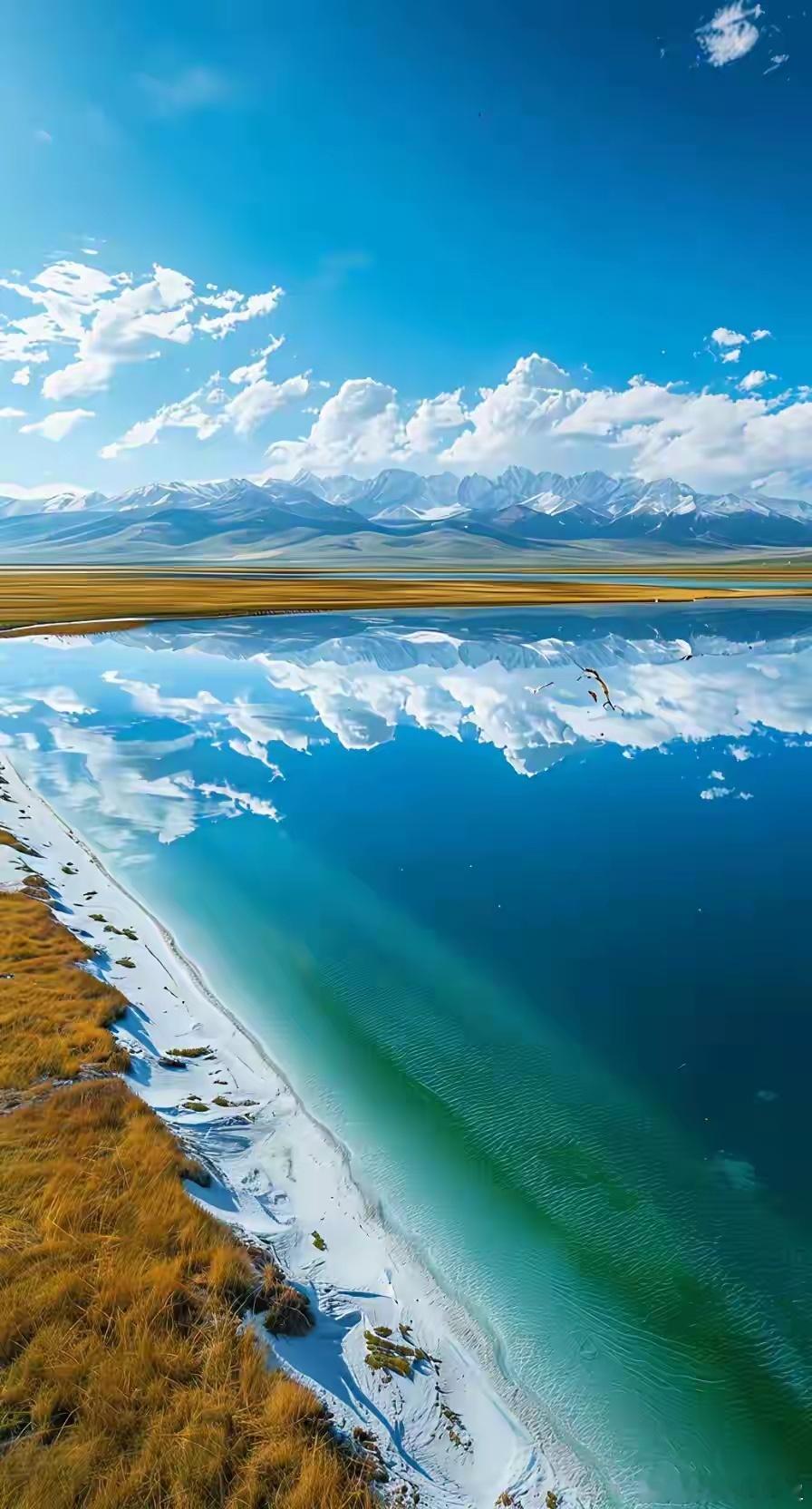 最有哲理的一段话:“没用的东西最贵，有用的东西都便宜。黄金贵吧，既不能吃也不能喝