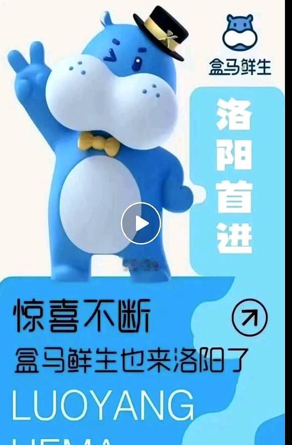消息不保真，反正海报已经发出来了，盒马首店最终选择了洛阳涧西万达。听说这次定