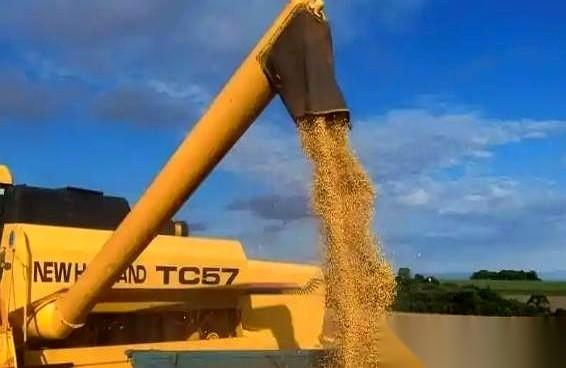 前阵子阿根廷一搞事，国际大豆价格一天就涨了5%，眼看国内的豆油、猪肉就要跟着起飞