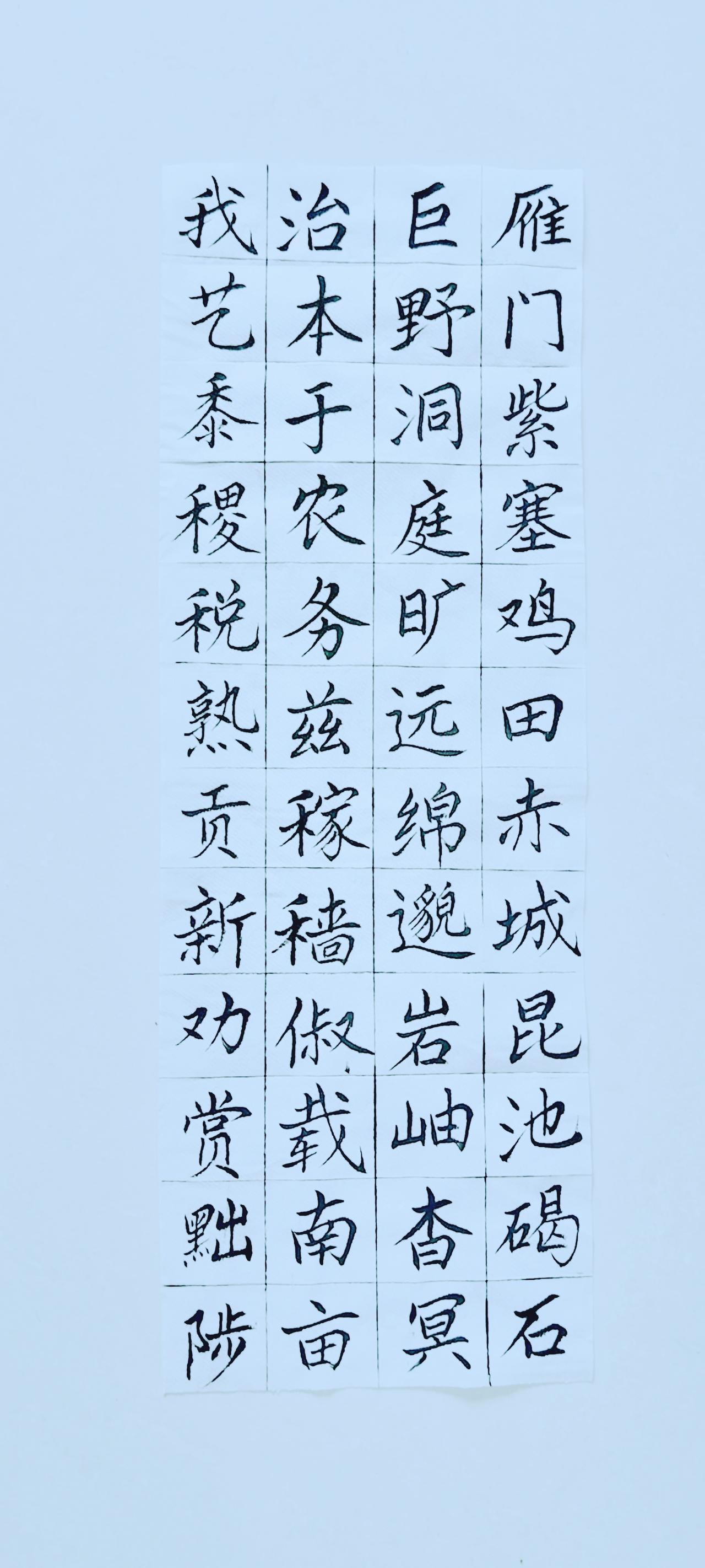 第五十九天《千字文》（14）正楷毛笔练习