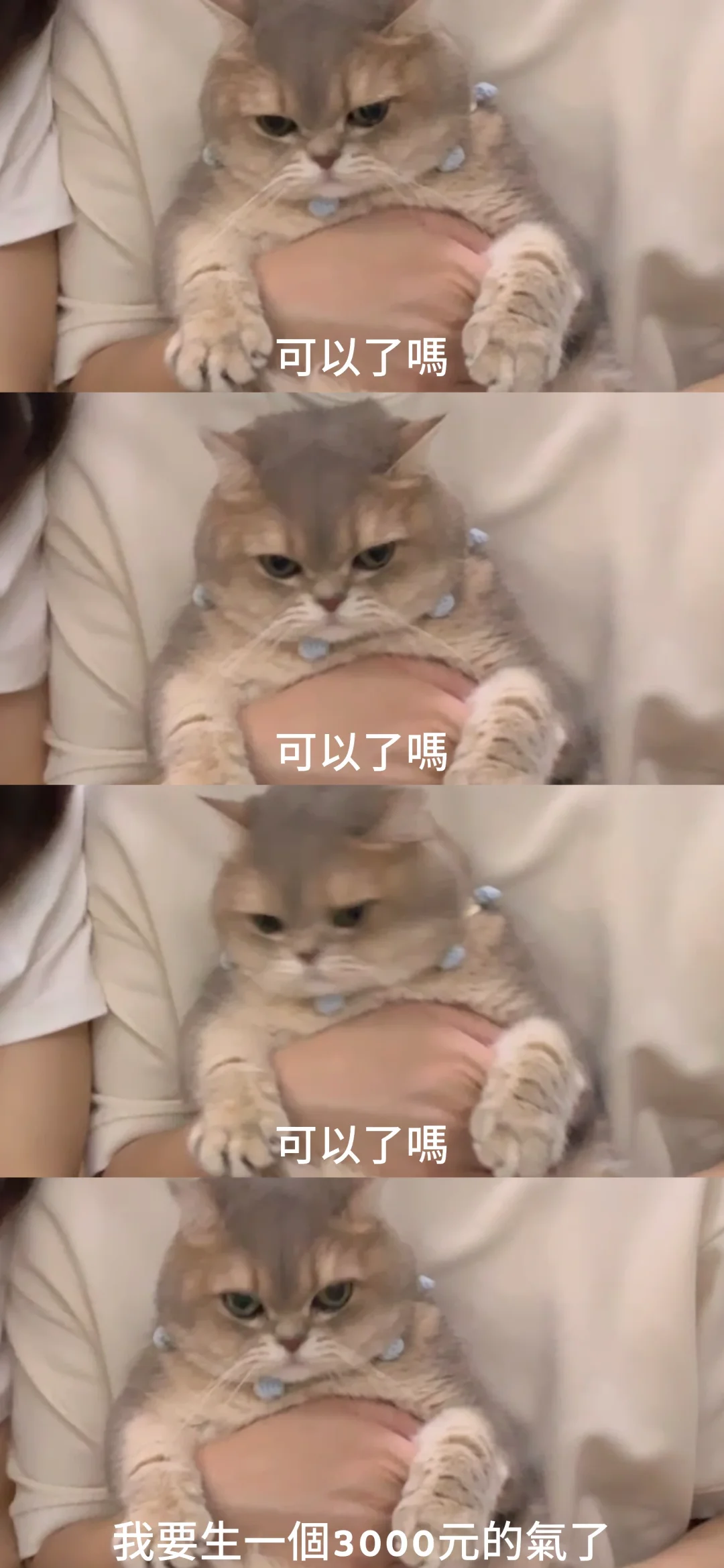 拍照拍出了一組表情包🙂