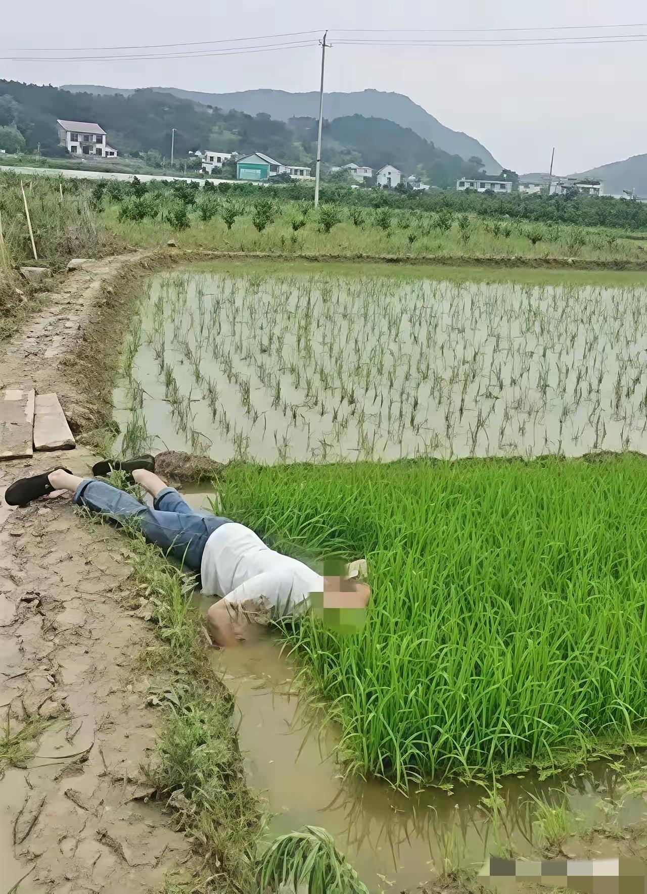 本来人死了，我们应该同情，结果这么一折腾，我都觉得活该了。成都大爷晨练滑倒溺亡，