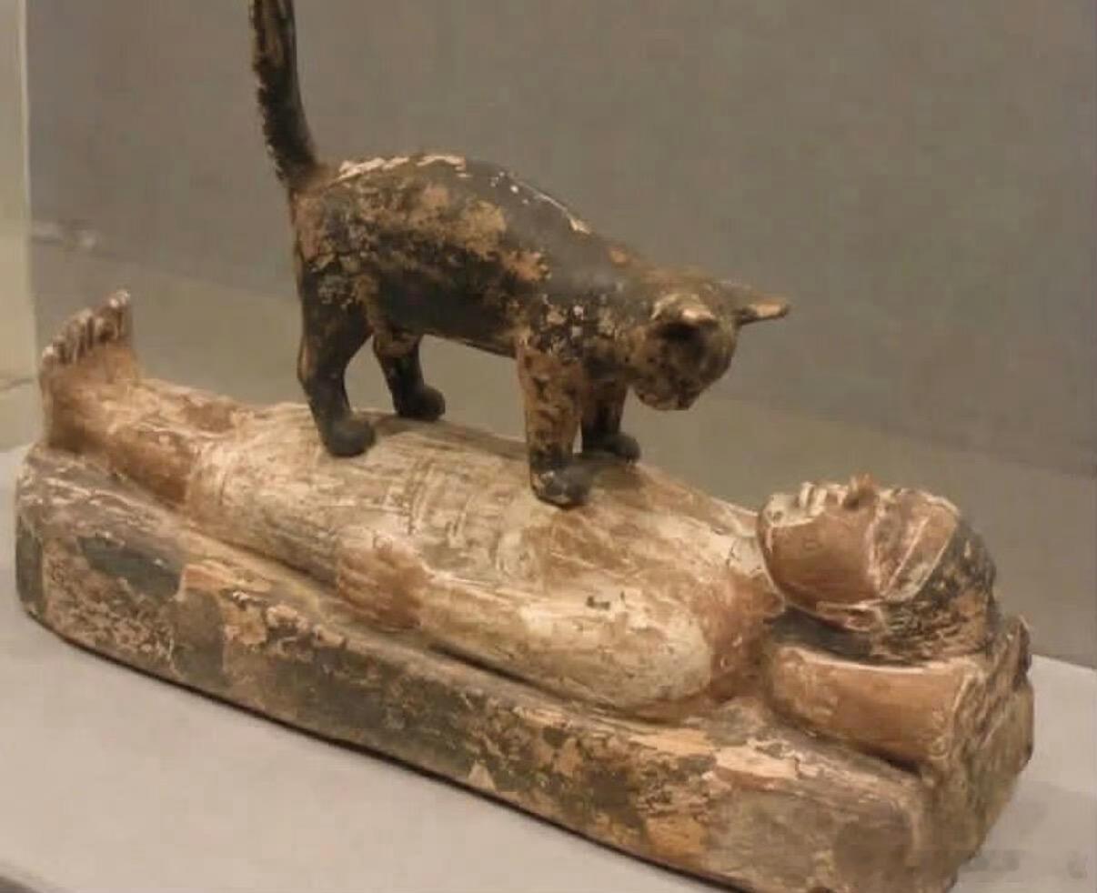 猫咪在古时候就开始打扰人类了爱猫人士跨越千年的朋友圈[doge]​​​