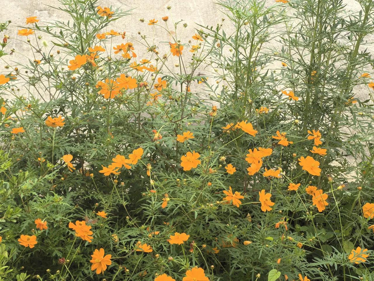 你相信吗？凡是学霸，绝大多数是