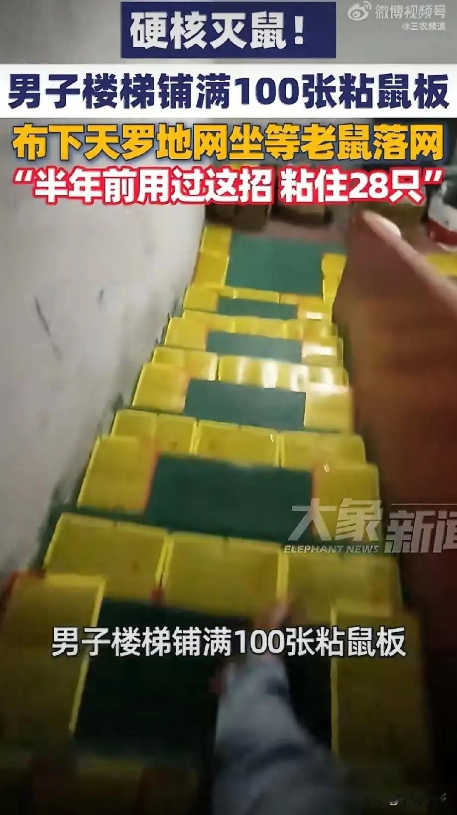 硬核捕鼠！广东东莞，男子堆放物品的仓库鼠患严重，为了抓住这些老鼠，男子在进出仓库