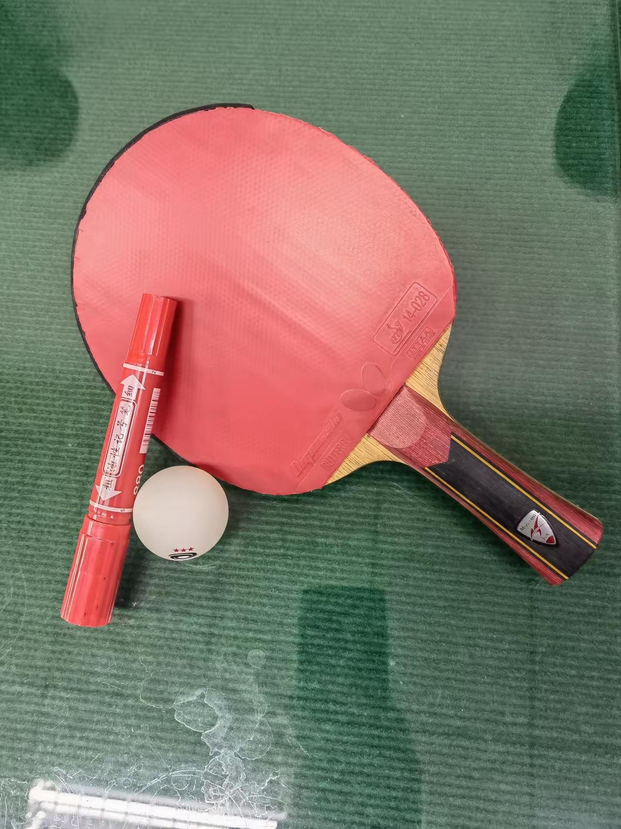 我是这样分析认为：国乒乓球男队运动员只要王楚钦发挥正常应该是志在必得夺取冠军。