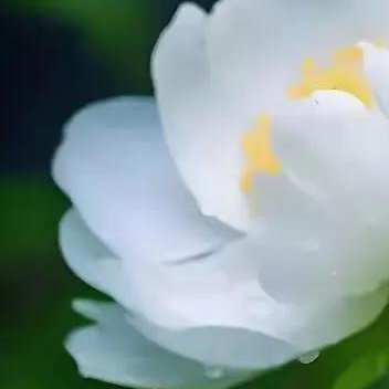 正能量正能量即便是生活平平淡淡，也要做一个不油腻的人，保持自己的初心，保持生活