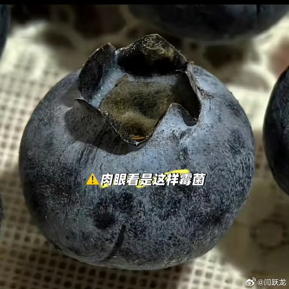 蓝莓肚脐眼里的霉菌最近，“蓝莓肚脐眼里有霉菌”的话题冲上热搜，不少网友表示，