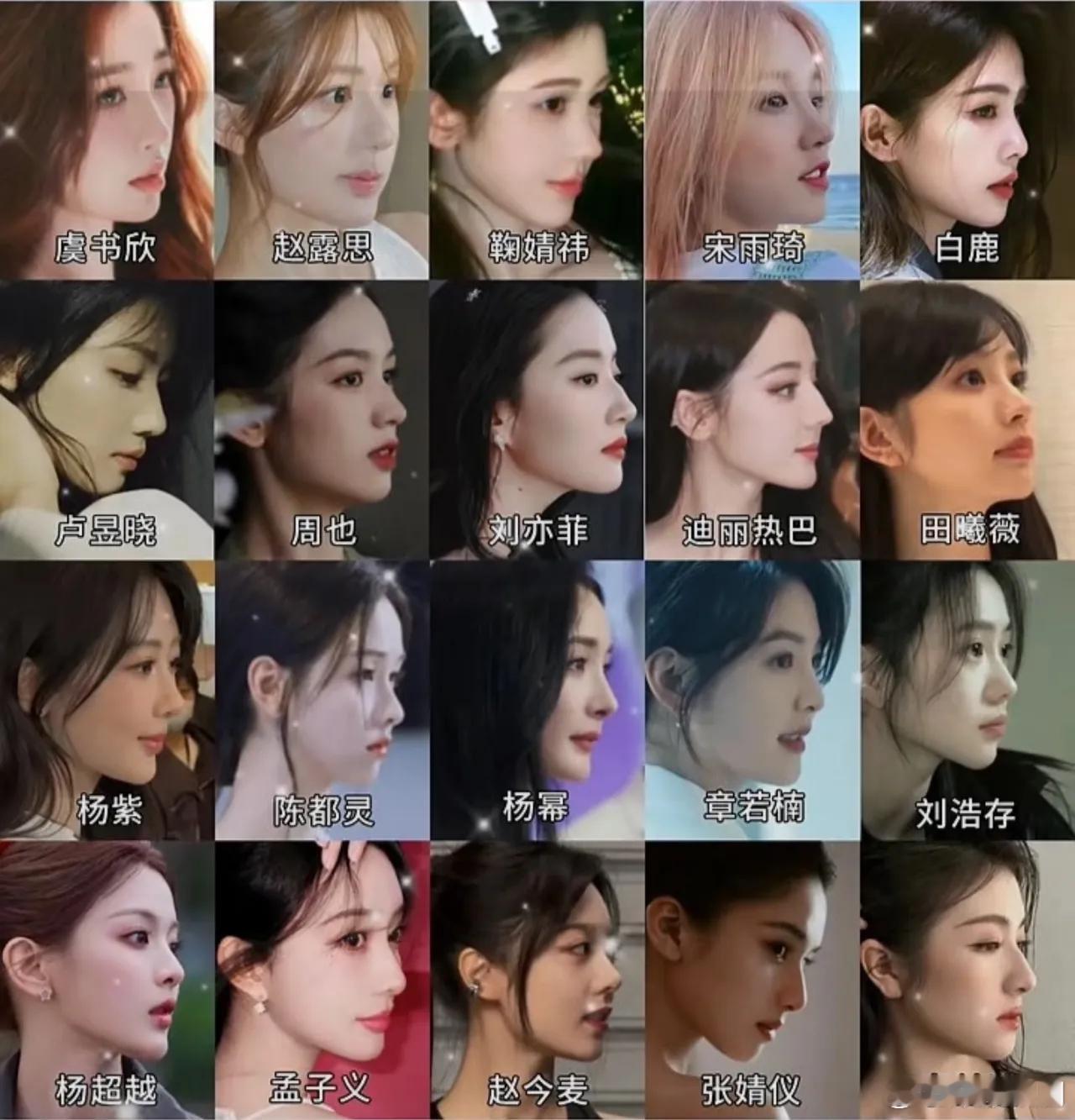 女明星侧颜来啦，虞书欣icon，赵露思icon，鞠婧祎icon，白鹿icon，刘