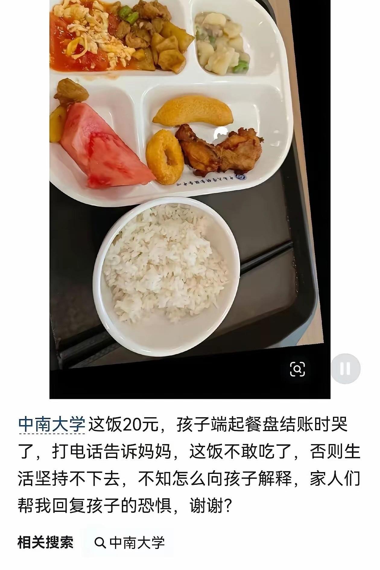 一顿午饭20块，就把985食堂给锤了？这锅中南大学真不背。先看那张刷屏的图：托