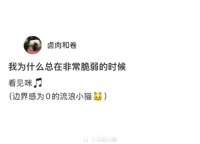 有些小猫真的很没有边界感！​​​