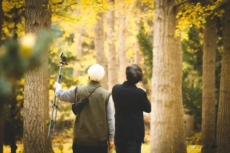 退休后哪些事不建议干退休生活虽然是人生的黄金时期，但也需要注意一些事项，避免