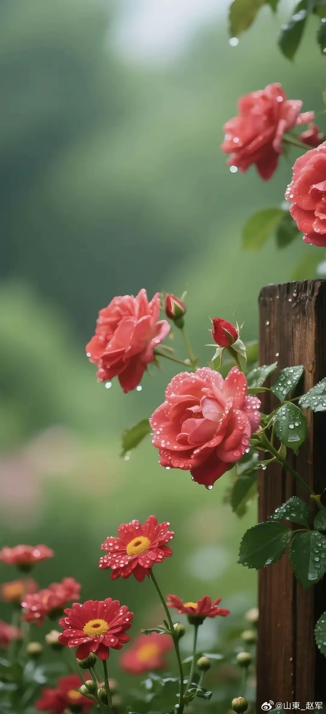 人身上下，本是一气贯通。下窍不稳、不净、不通，上窍再怎么修，也难开、难明、难灵。