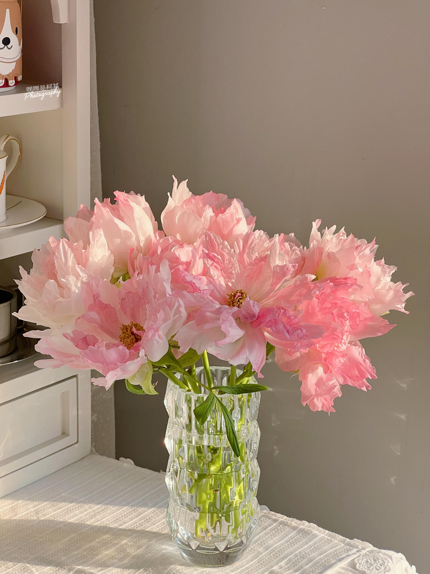 油画一般的牡丹花