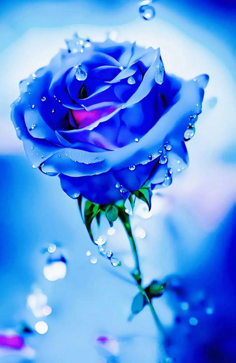 我发现个特有意思的现象：人一旦兜里有钱了，连脾气都变好了。我楼下快递站有