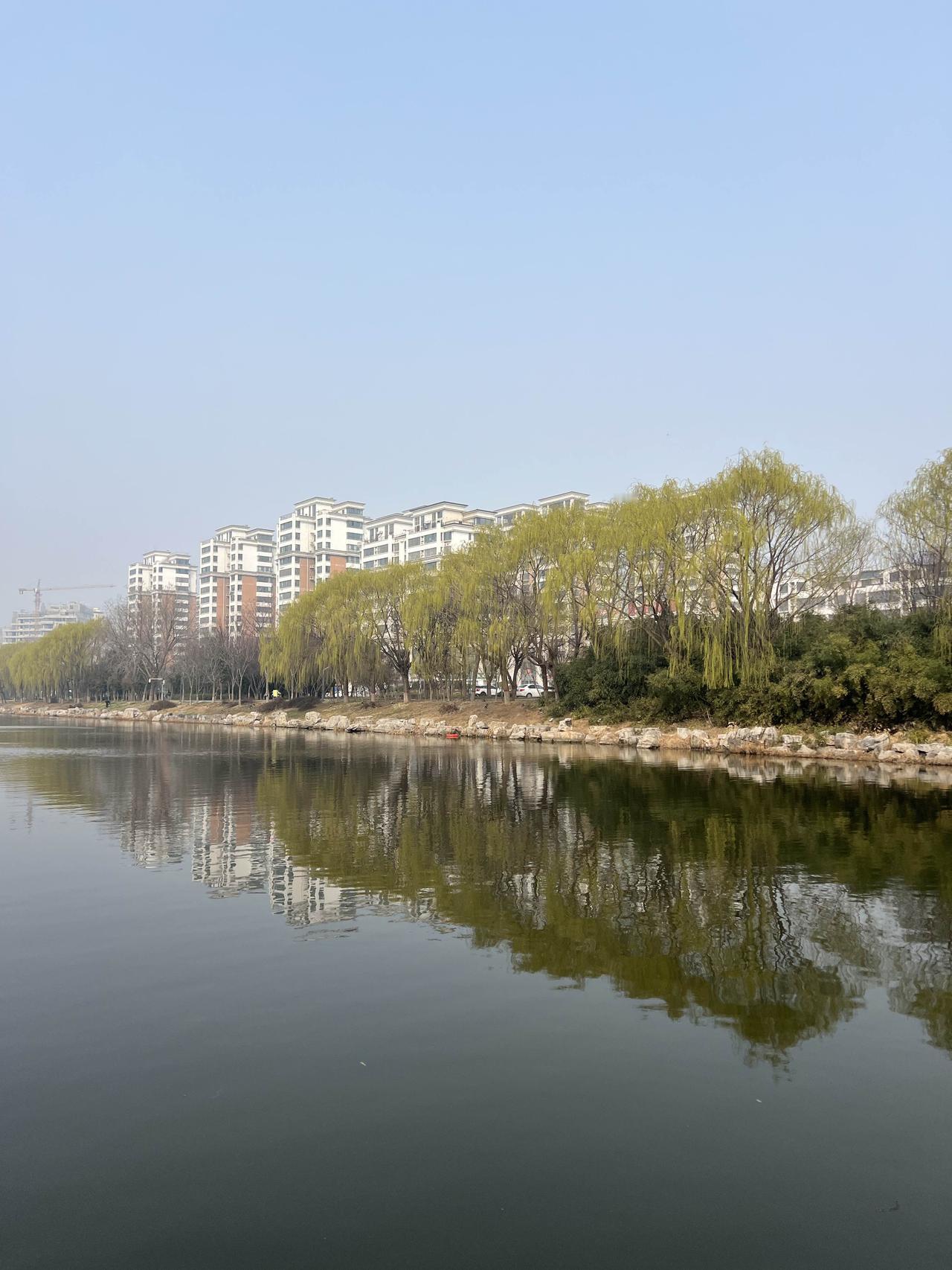 千万别可怜刚结婚就给你诉苦，说亲戚朋友这个不搭理她，那个欺负她的婆婆。你要是