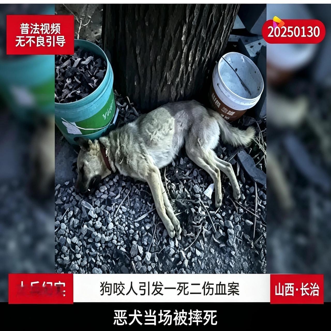 九条汉子砸门讨狗命，老汉摸刀乱刺，死一个伤三个，这算自卫还是坐牢？大年初二，