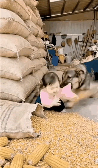 谁能想到，狗狗突然咬着女孩衣服猛拽的“反常举动”，竟是生死关头的救命信号！