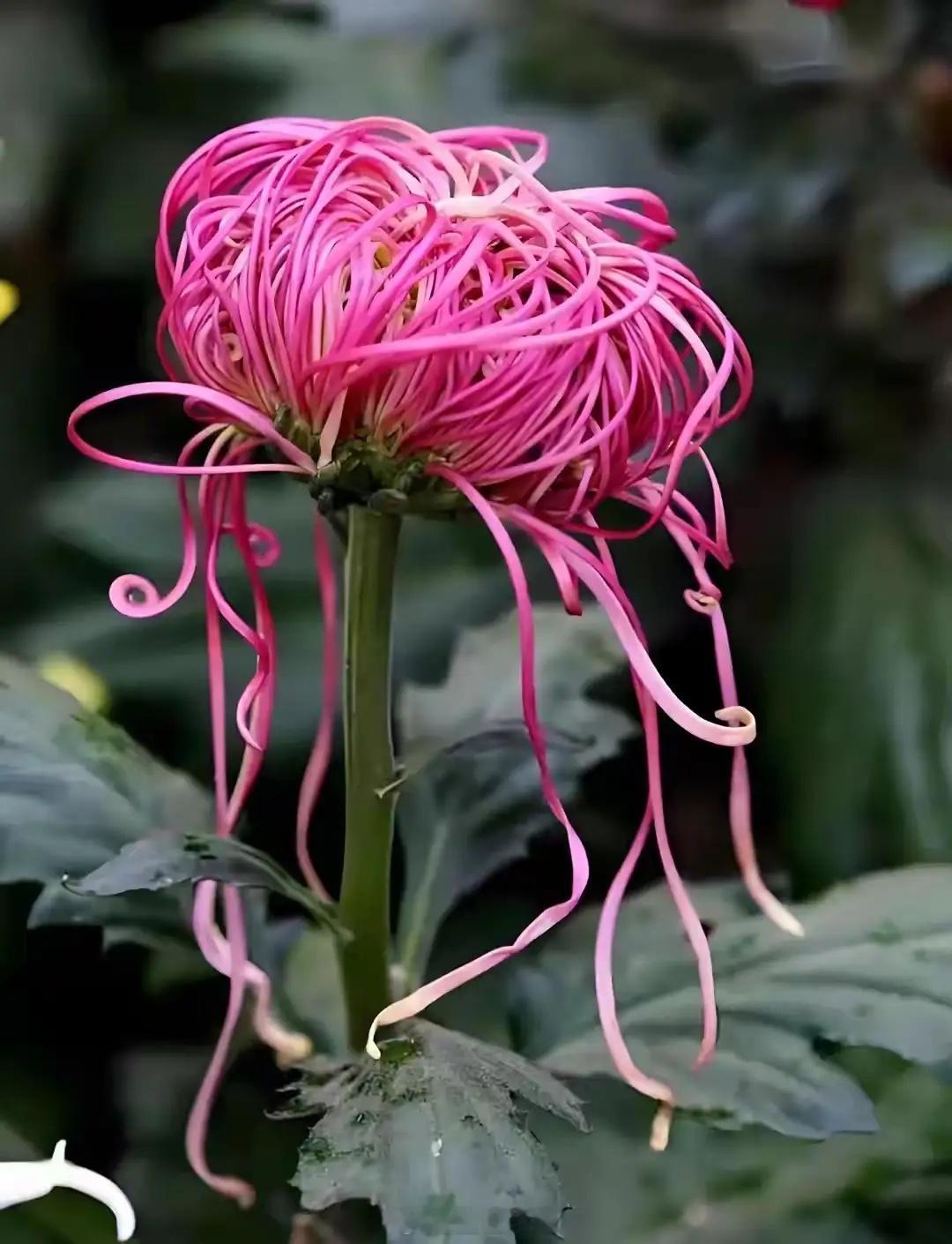 炒股是场修行：越修越通透，越炒越赚钱炒股哪是单纯买卖股票，分明是场磨心态、练纪律