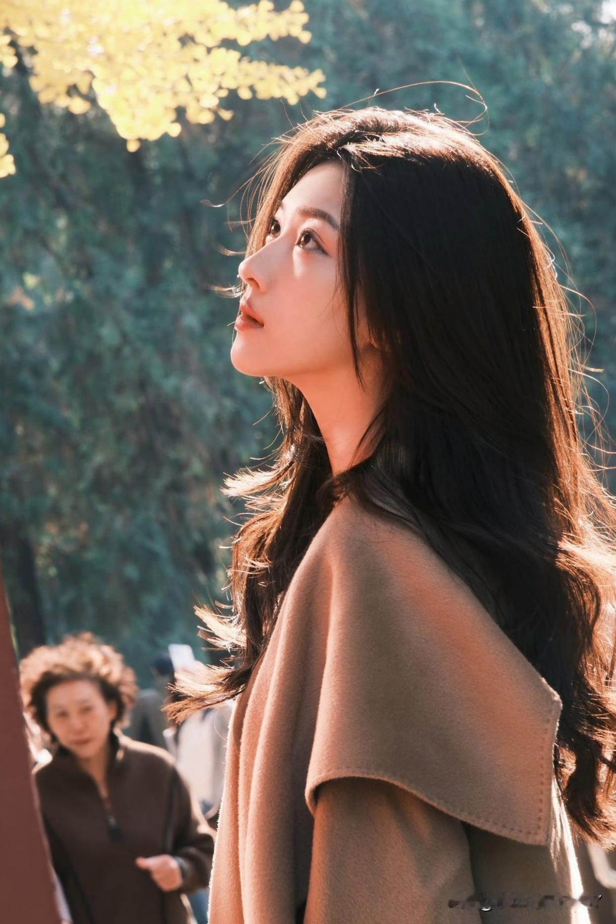 分享早晨的晨语。