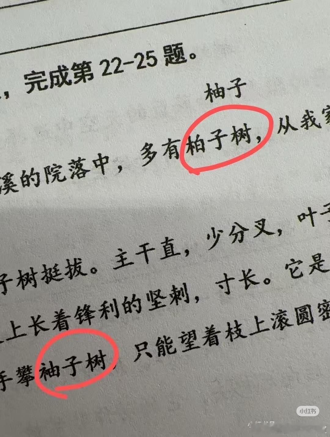 我来一杯峰密抽子荼