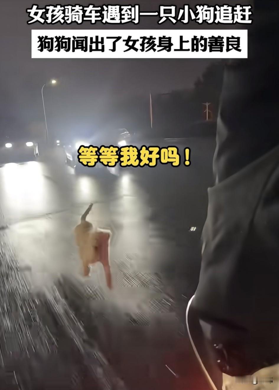 泪目了！这天夜里，天空下着小雨，一位小姐姐下夜班骑着电动车回家，就在她骑到一条小