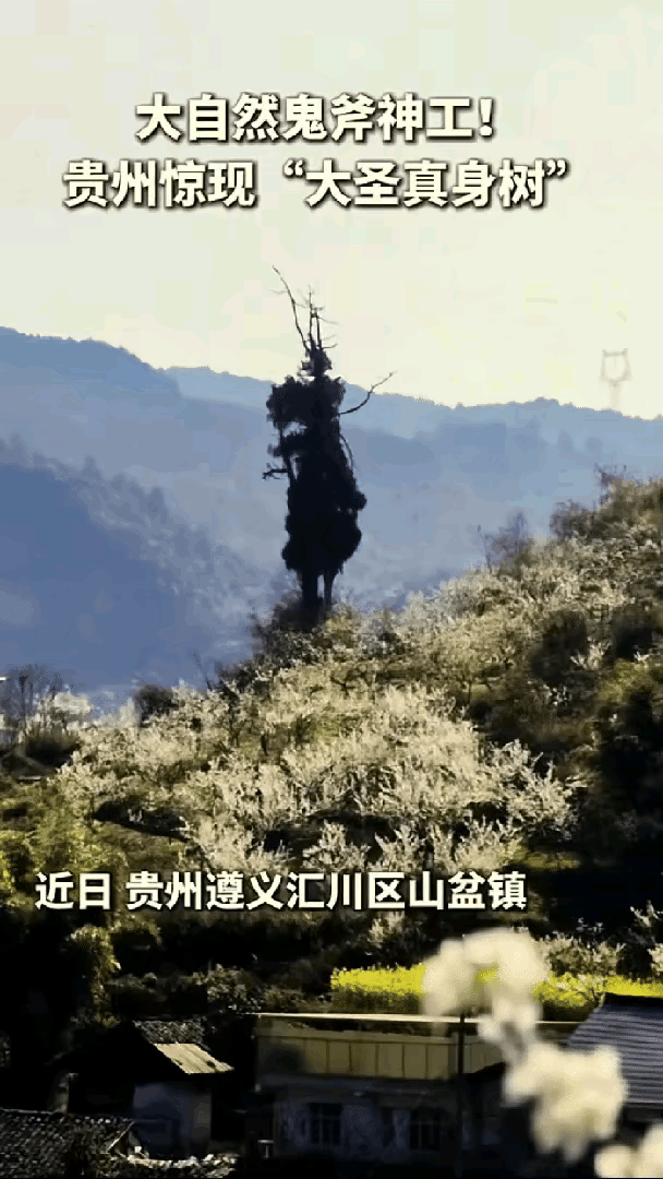 彻底解释不清了，贵州，一男子到山里徒步，原本只是想随手记录山野风光，不料镜头一转