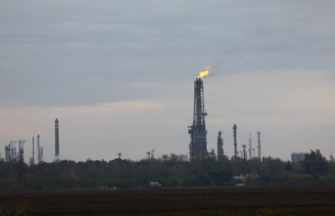 乌克兰和匈牙利“掰手腕”，普京四个字形容：狗摇尾巴3月8日，俄罗斯总统普京接受