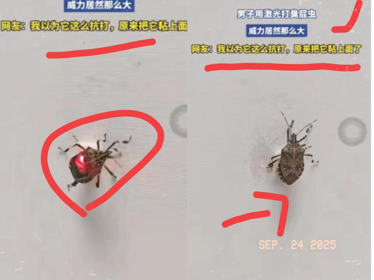 伤害性大，侮辱性强。河南一男子买了一只激光炮，想试试这个激光炮威力大不大。然