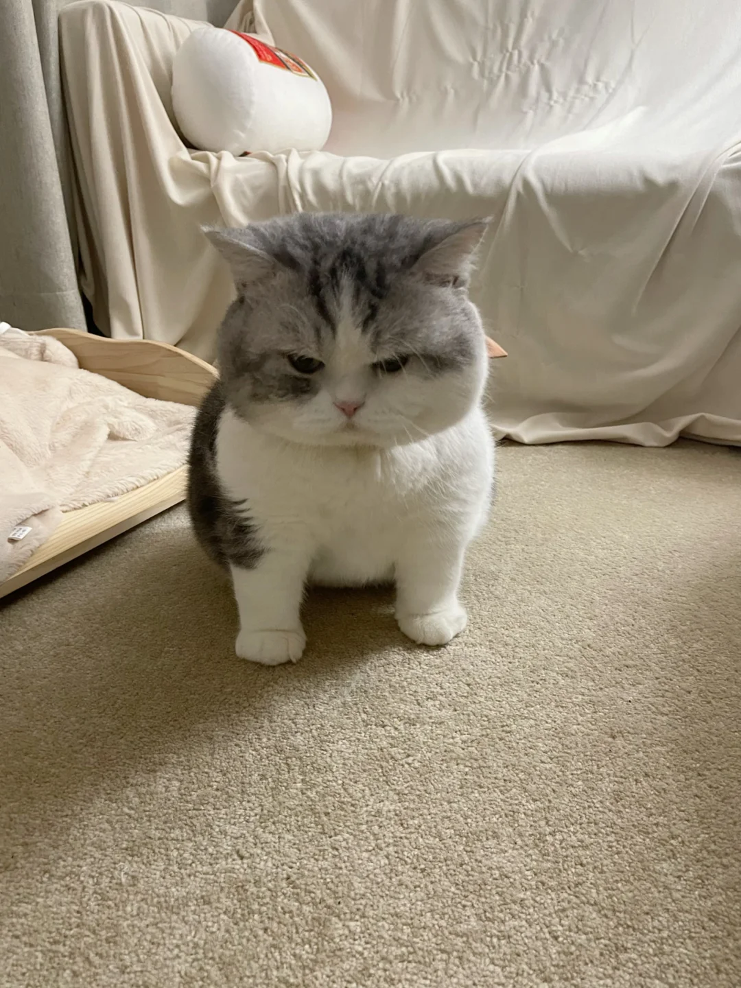 蹲在那里怨气很重