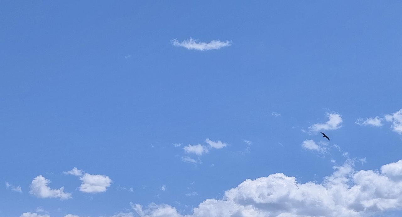是不是上年纪了，有点儿怕孩子？从孩子留学开始，我基本没管过。除了生病休学回来那