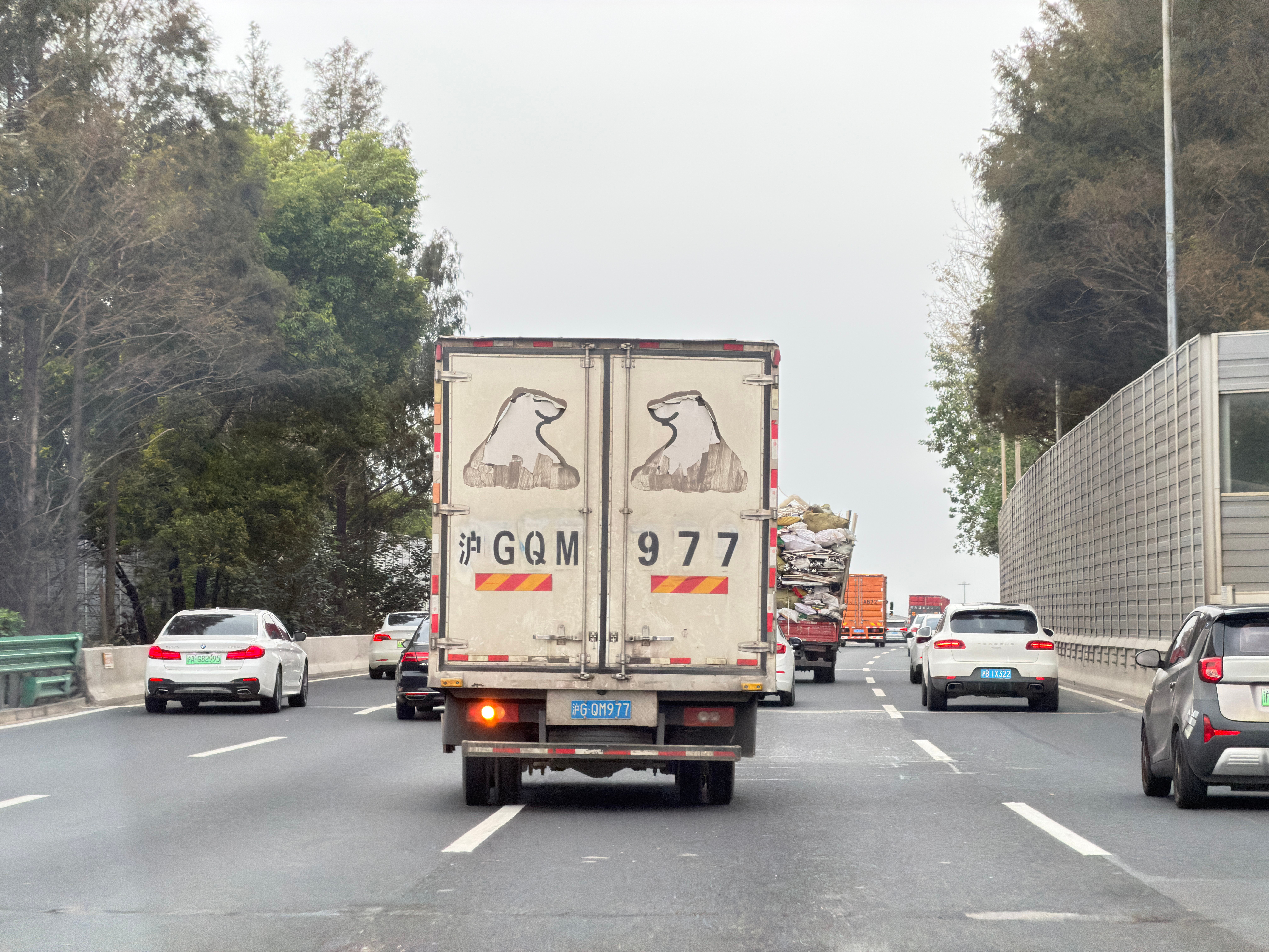 嘿嘿，疯狂动物城？​​​