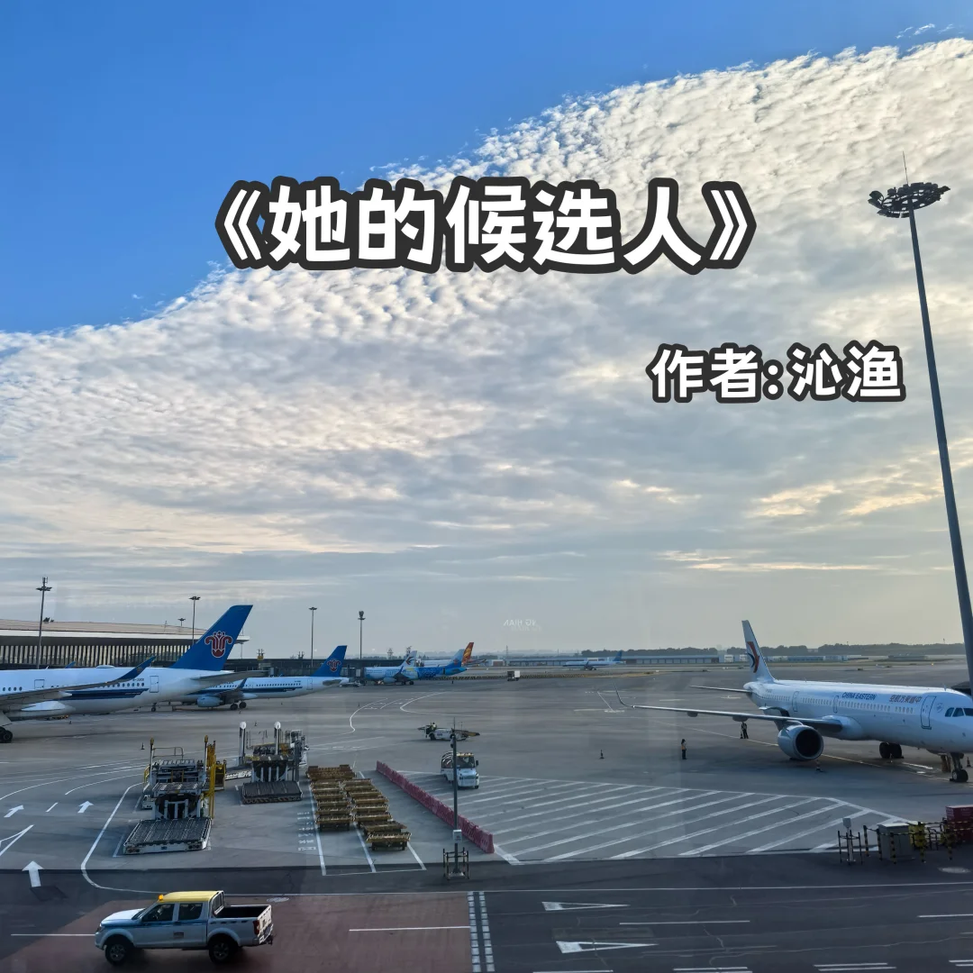 宅家小说｜职场爱情《她的候选人》