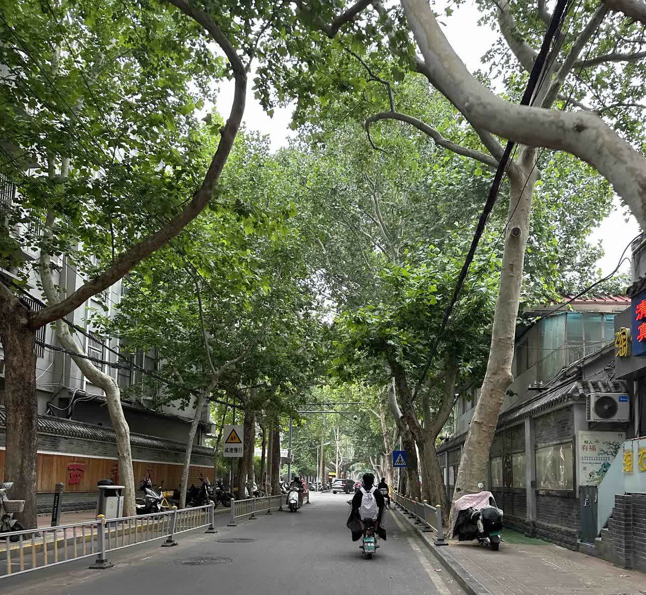 孩子上小学后，特意给公婆买了120平电梯三房，也装修好了，公交车5站，走路20分