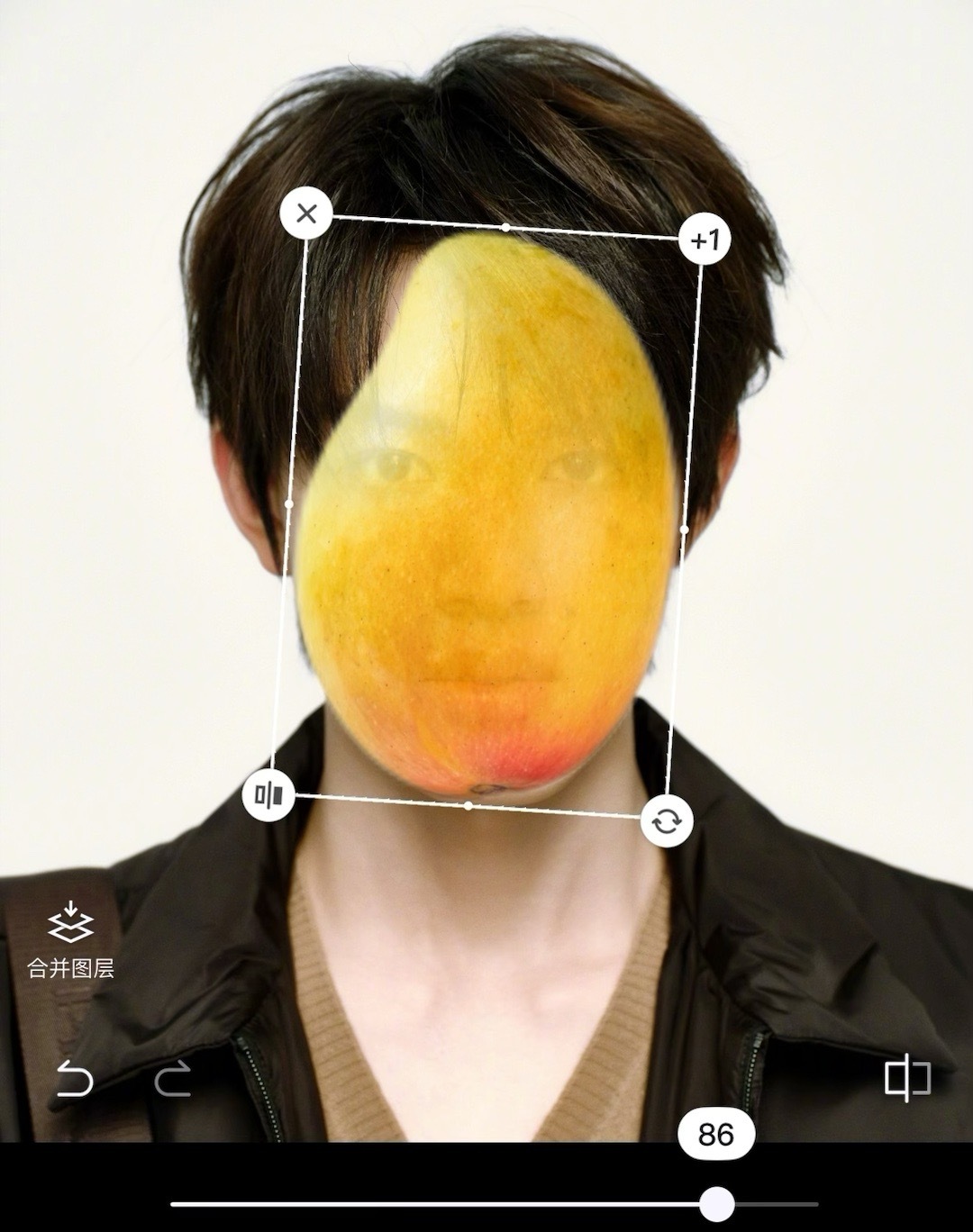 没见过这么纯的芒果了严丝合缝