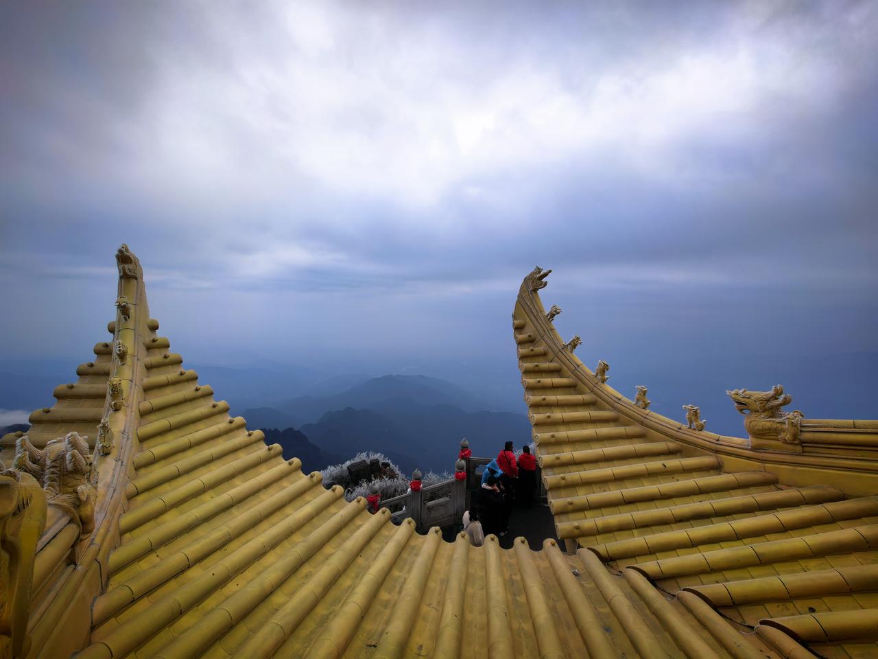 阳台的一盆小月季，我数了一下，竟然有31朵，花朵都压弯了枝头。阳光透