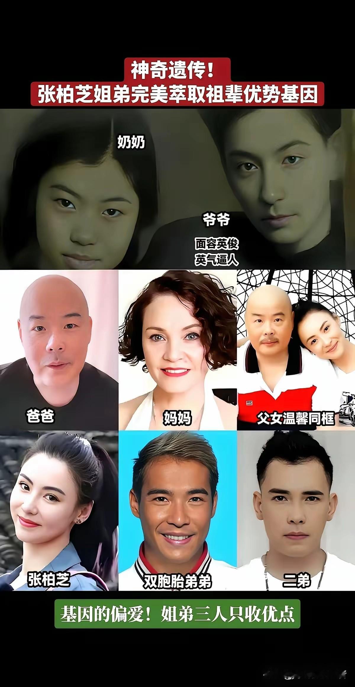 张柏芝的美真的是来自家族，爷爷好帅气，但是爸爸差点意思，结果好基因隔代遗传，张柏